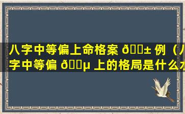 八字中等偏上命格案 🐱 例（八字中等偏 🌵 上的格局是什么水平）